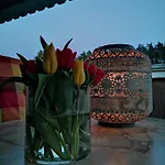 Am Ferchesarer Ferchesar