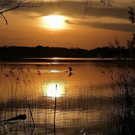 Holiday home Am Ferchesarer *