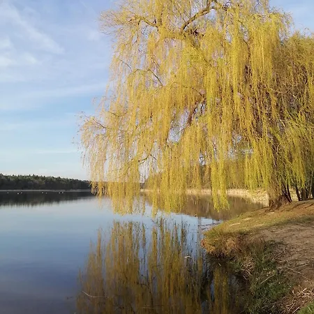 Am Ferchesarer Dom wakacyjny *