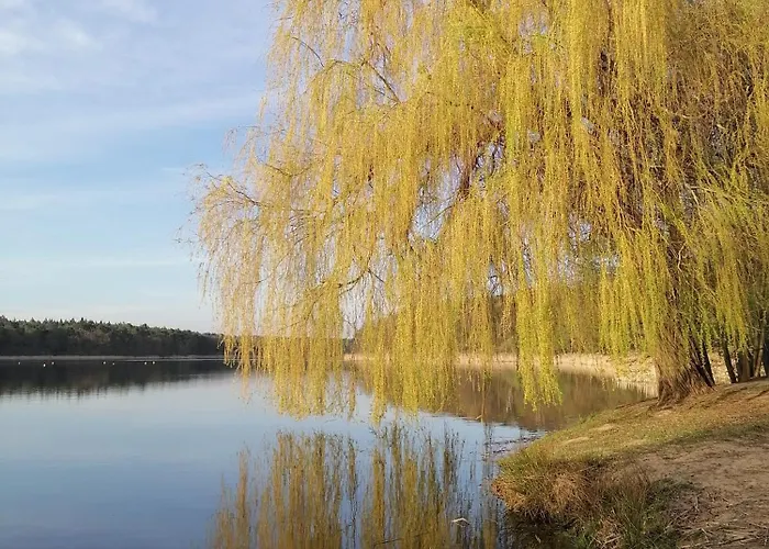 Am Ferchesarer Сasa de vacaciones *